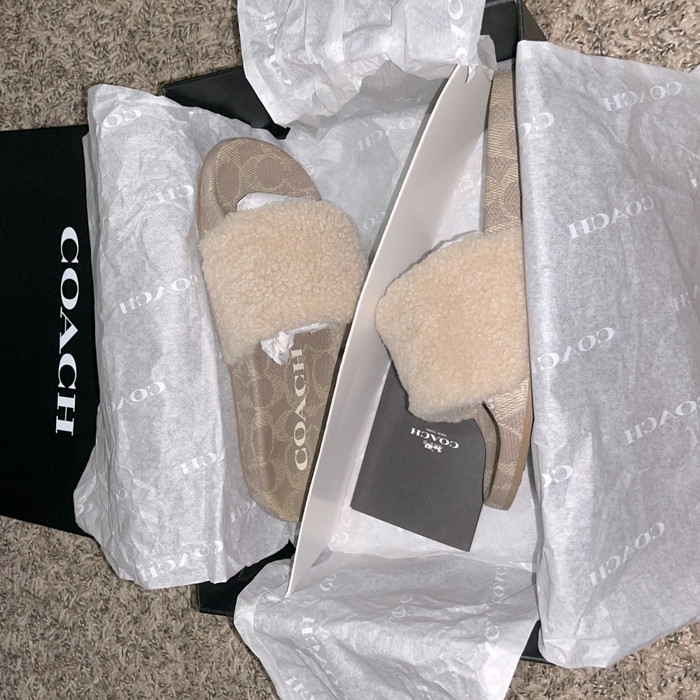 COACH Ulla Slides/Slippers. Woman’s size 6, but the box says size 8. - Picture 1 of 7